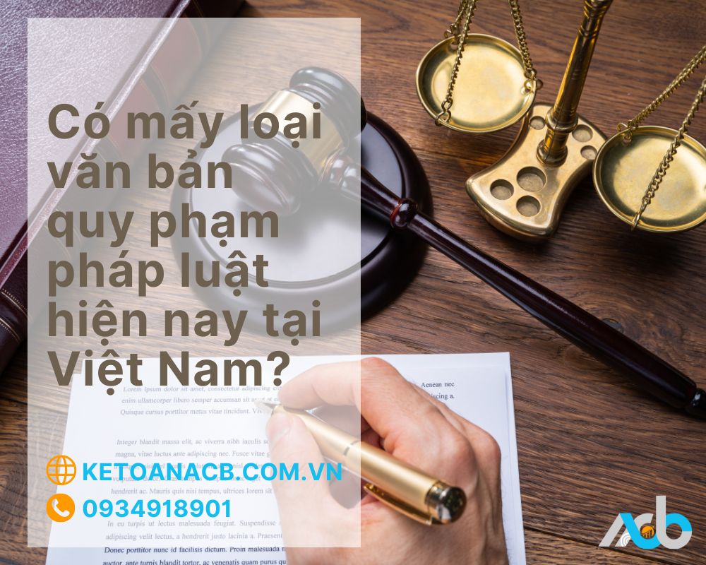 Có mấy loại văn bản quy phạm pháp luật hiện nay tại Việt Nam