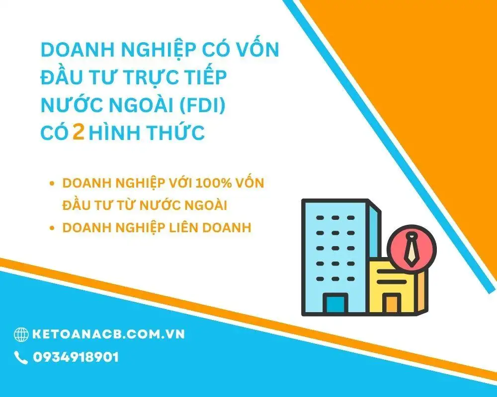 Doanh nghiệp có vốn đầu tư trực tiếp nước ngoài (FDI) có mấy hình thức