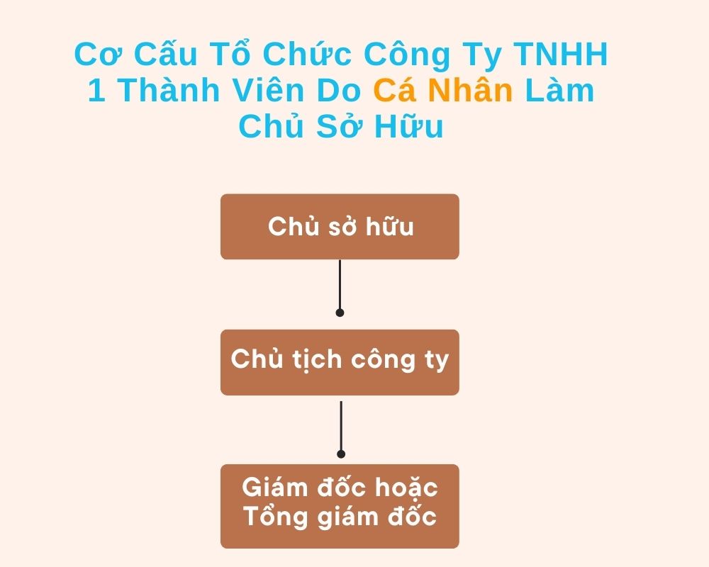 Cơ Cấu Tổ Chức Công Ty TNHH 1 Thành Viên Do Cá Nhân Làm Chủ Sở Hữu