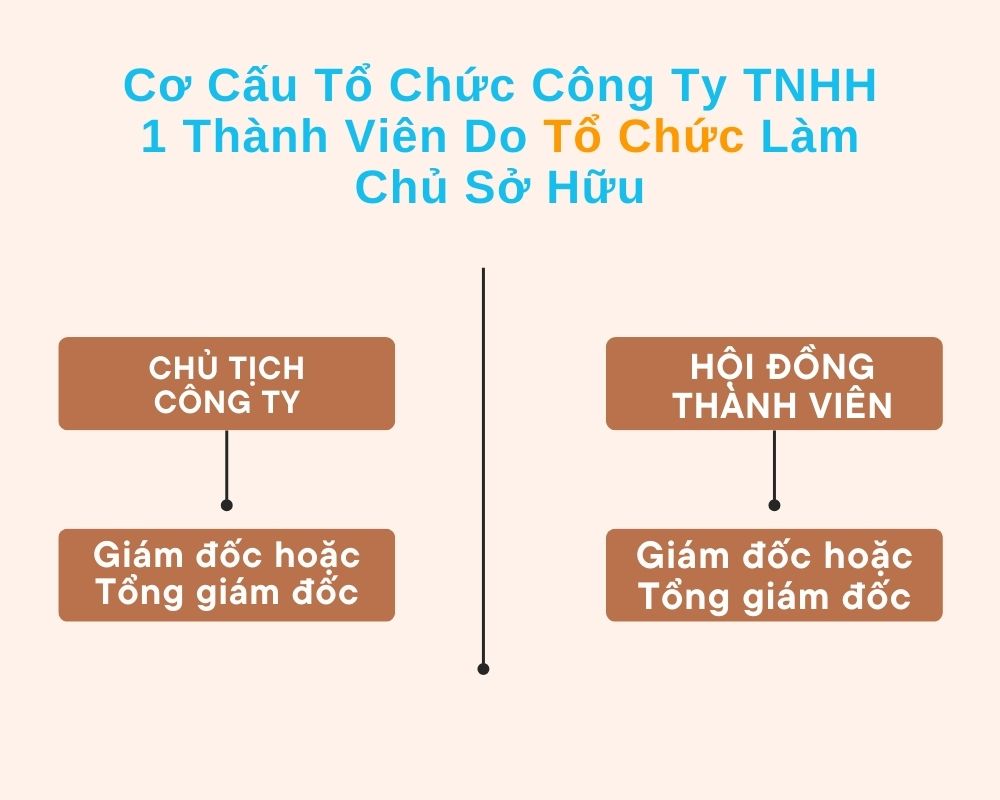 Cơ Cấu Tổ Chức Công Ty TNHH 1 Thành Viên Do Tổ Chức Làm Chủ Sở Hữu
