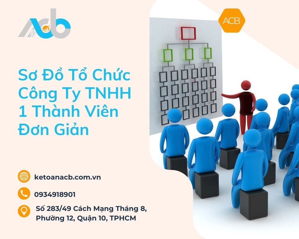 Sơ Đồ Tổ Chức Công Ty TNHH 1 Thành Viên Đơn Giản